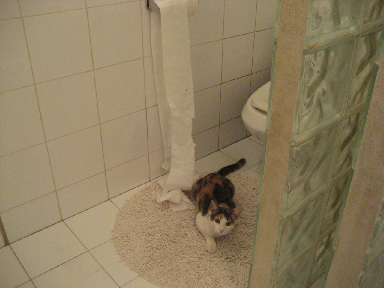 美加墨世界杯焦点战，塞维利亚3-0击溃国际米兰，演绎足球艺术与激情