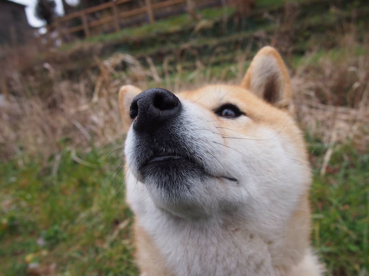 恩比德39+15统治攻防，黄蜂末节发力客场险胜浙江