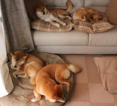 铁血尼克斯用进攻狂潮淹没绿军，东决关键战火力压制成胜负手