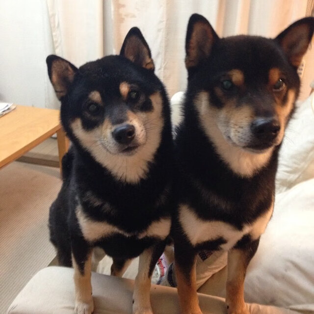 平行时空的横扫与接管,篮球世界永恒的单挑与围城