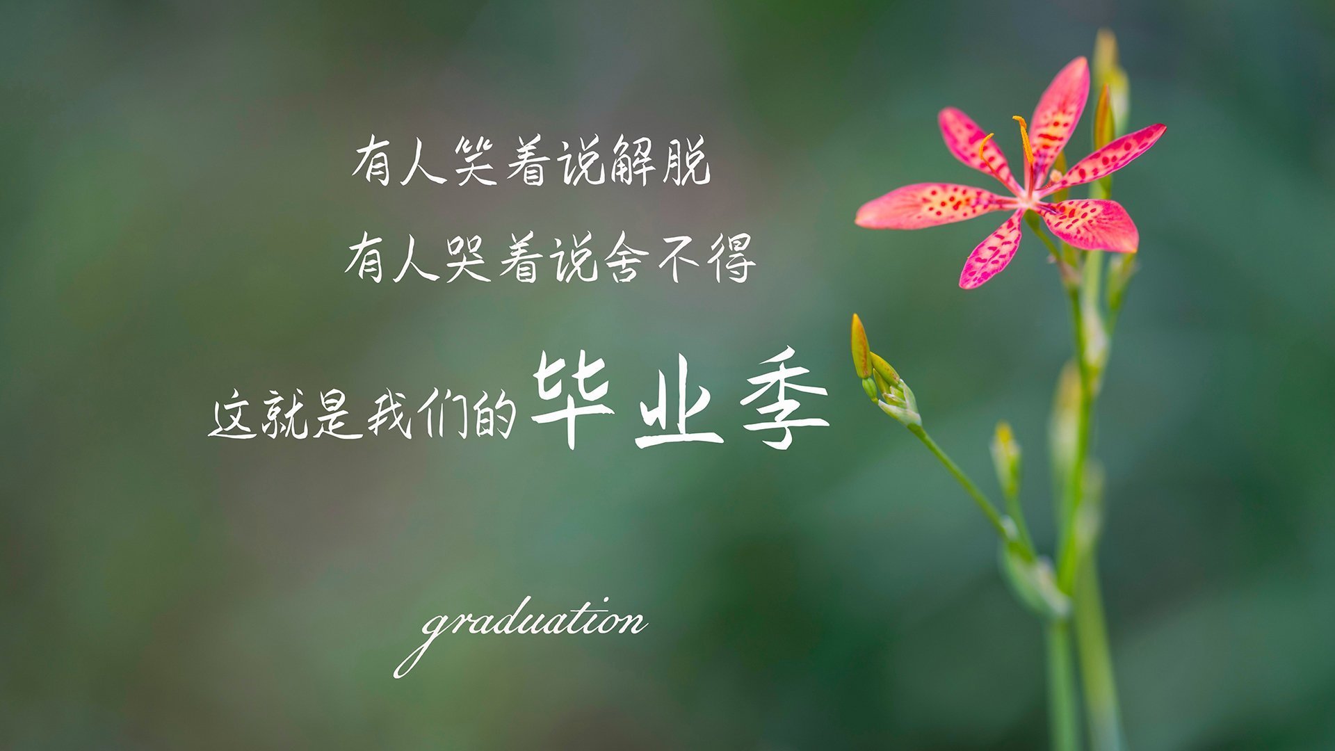 钢铁雄鹿加时险胜广厦,克莱年度封神之战接管全场