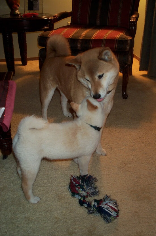 跨界鏖战与巨星接管，篮球世界的双重奏鸣