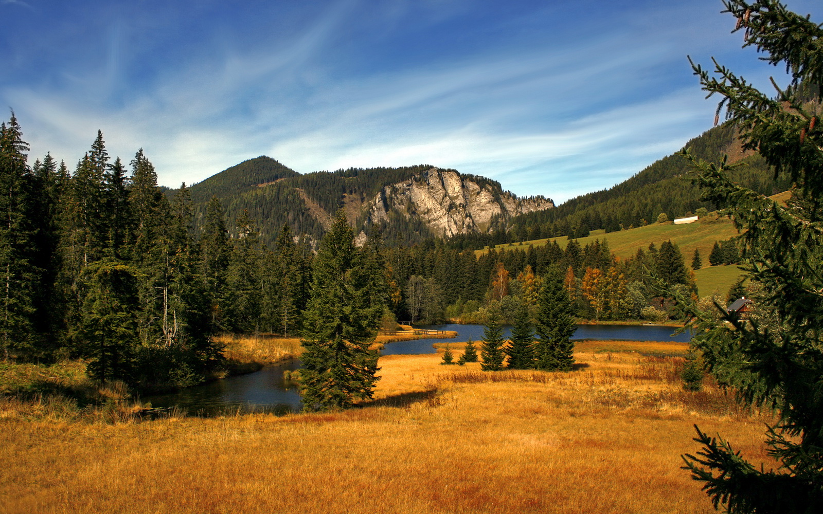 跨界鏖战与巨星接管，篮球世界的双重奏鸣