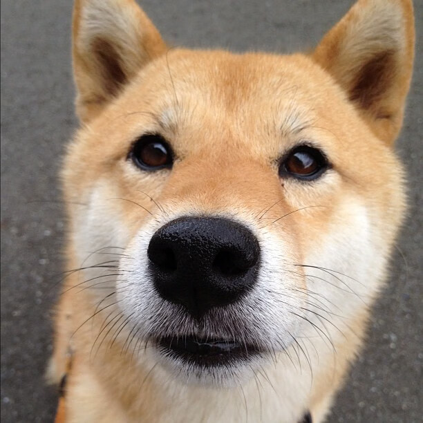 年度争冠之夜，乔治完美演绎，一手掌控比赛走势