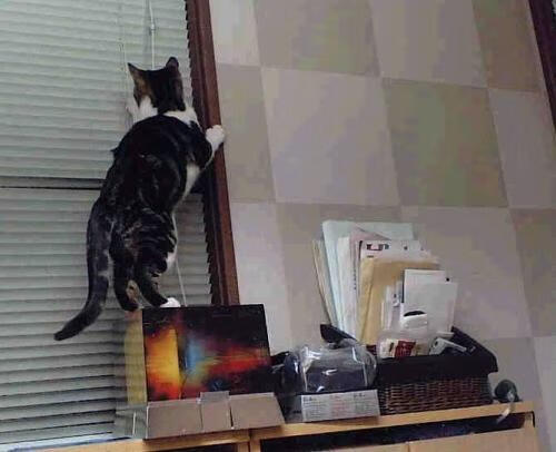 绿茵棋局,莫德里奇如何以节奏为刃,切割国际米兰的钢铁防线