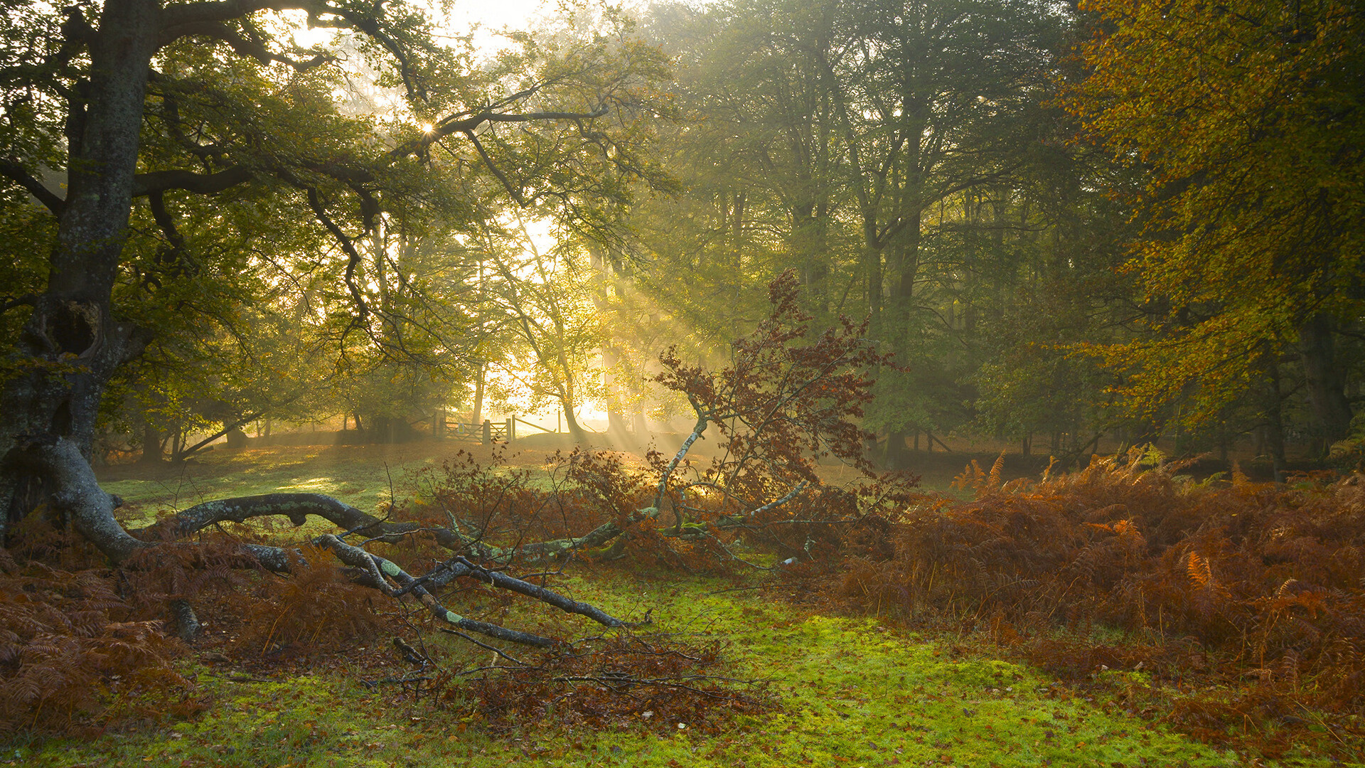 草根逆袭夜，步行者爆冷骑士，浓眉化身关键先生