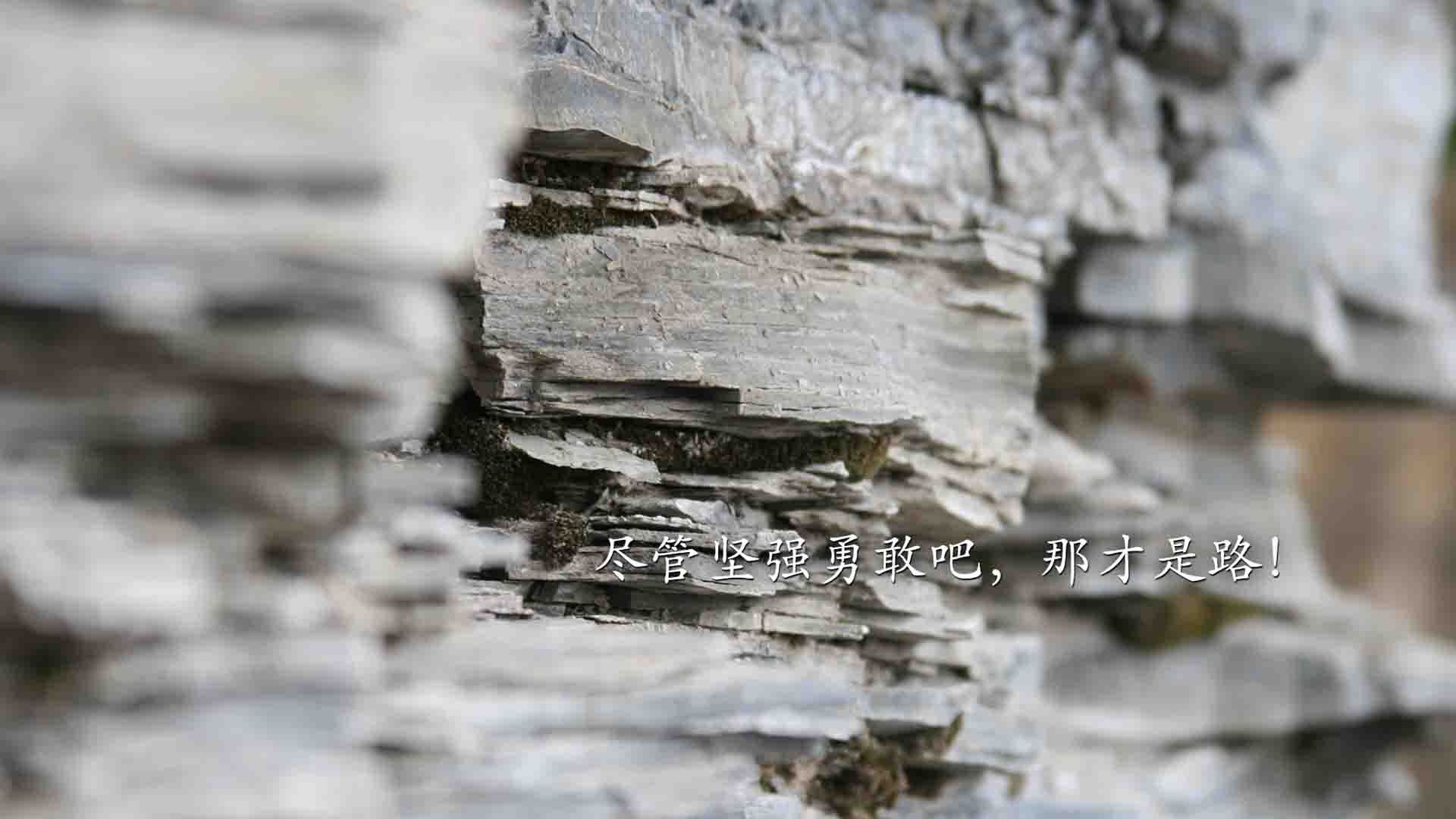 门迪关键回合不手软！马赛热身赛战平几内亚，点球大战门神发威