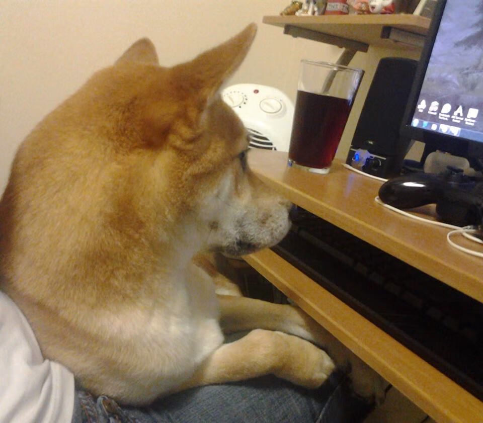 绿茵双城记,当英格兰悬崖勒马时,哈兰德在慕尼黑加冕为王