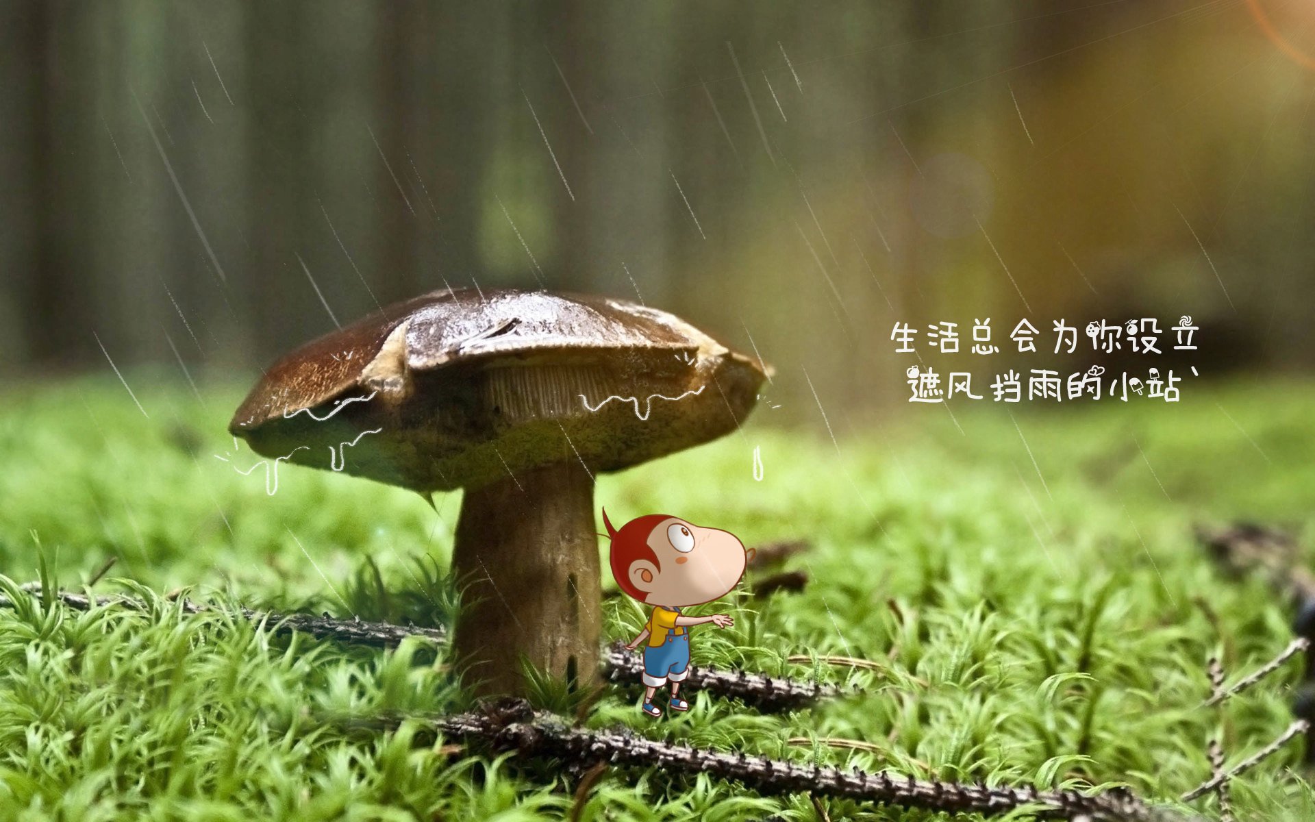 红魔碾压北非雄鹰，孙兴慜两传一射主导2026世界杯G组焦点战