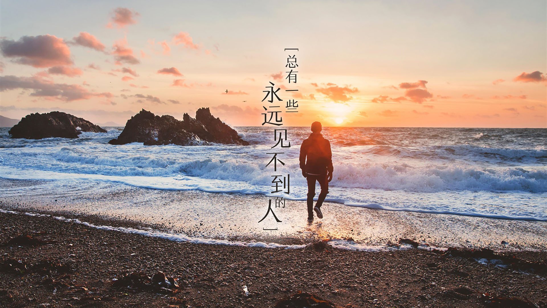极速狂飙,致命一击,阿根廷横扫捷克,阿方索·戴维斯演绎攻守转换教科书
