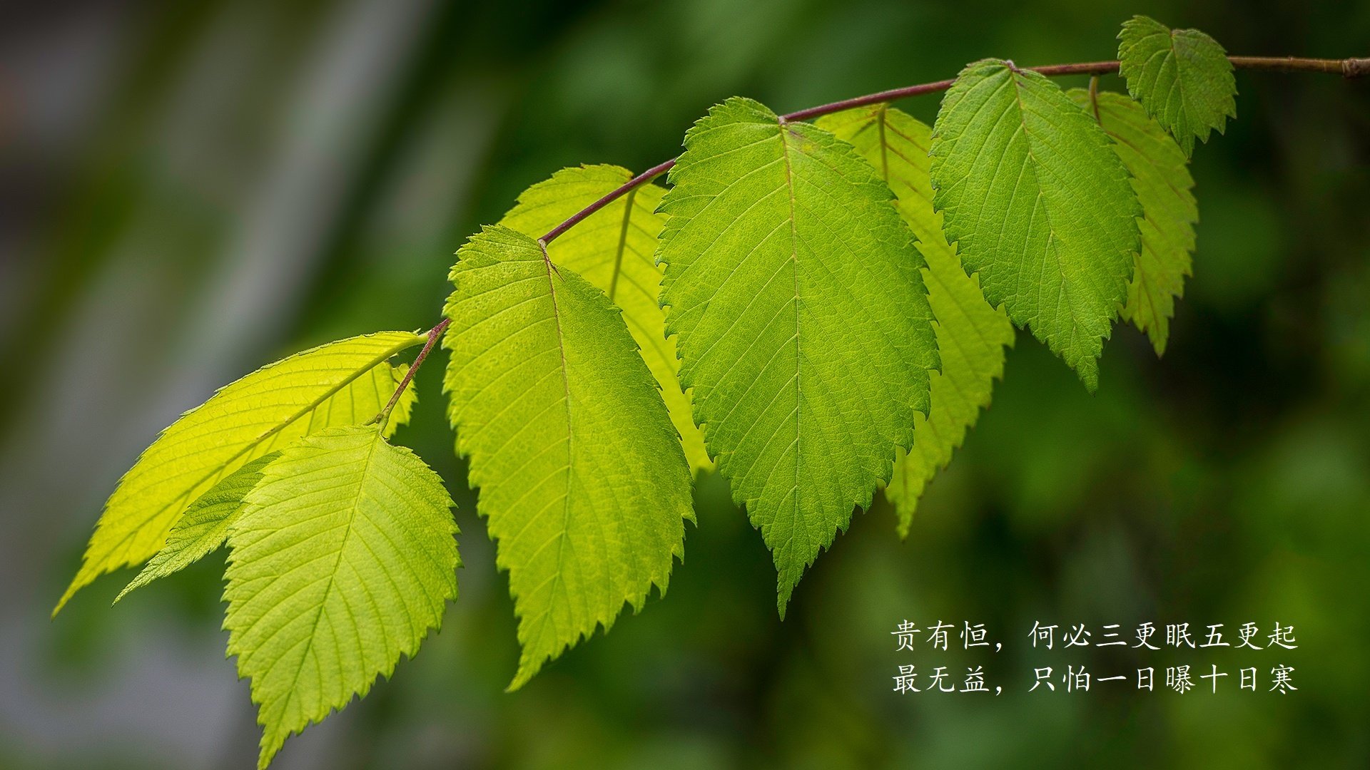 开云体育在线-北欧风暴席卷东南亚，德容主宰赛场，瑞典完胜泰国开启2026世界杯H组征程